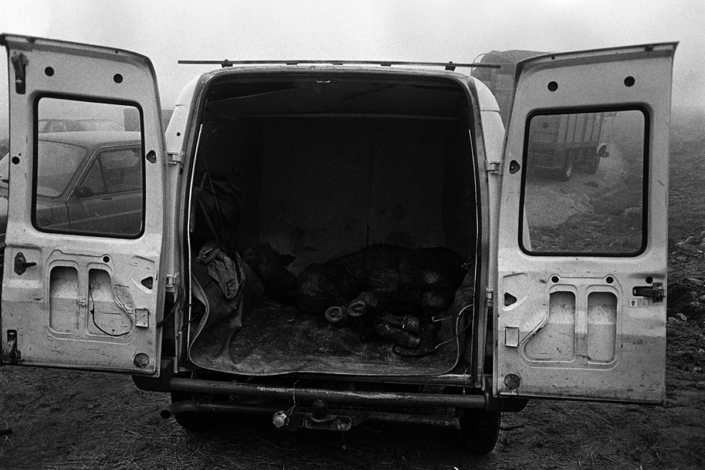 A Lamosa, Pontevedra, Spain 1999 A Lamosa, Pontevedra, Spain 1999