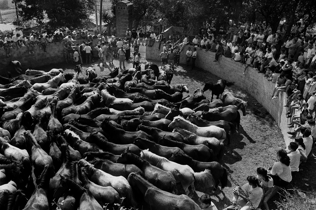 Cuspedriños, Pontevedra, España 2002